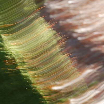 Abstract fine art photography to hang on a wall : Sensations 46