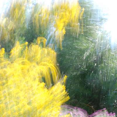 Abstract fine art photography to hang on a wall : Soulflowers 46