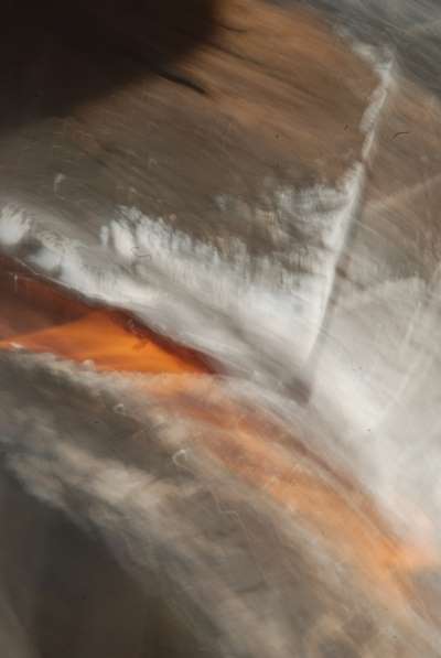 Abstract fine art photography to hang on a wall : Reincarnations 11