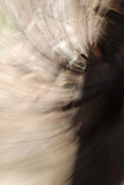 Abstract fine art photography to hang on a wall : Vibrations 18