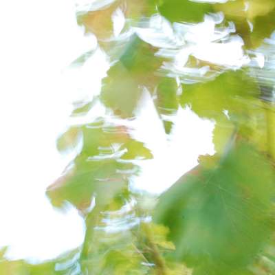 Abstract art, gestual photography : Sensations 56