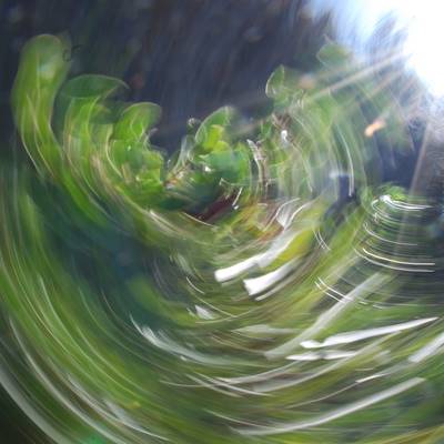Abstract art, gestual photography : Soulflowers 42