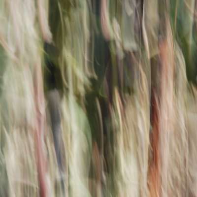 Abstract art, gestual photography : Vibrations 21