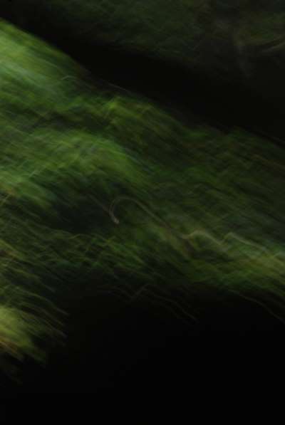 Abstract art, gestual photography : Decantations 21