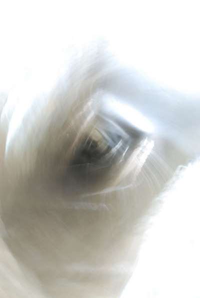 Abstract art, gestual photography : Reincarnations 7