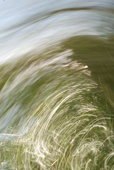 Abstract art, gestual photography : Soulflowers 28
