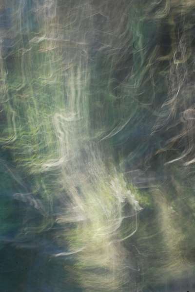 Abstract art, gestual photography : Soulflowers 35