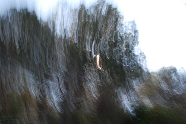 Abstract art, gestual photography : Godlights 7