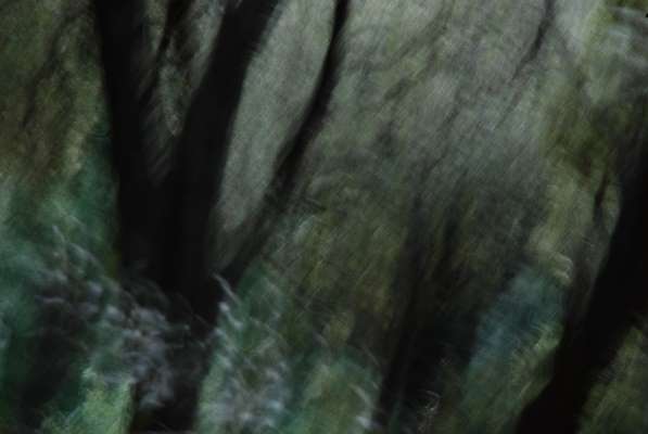 Abstract art, gestual photography : Sensations 21