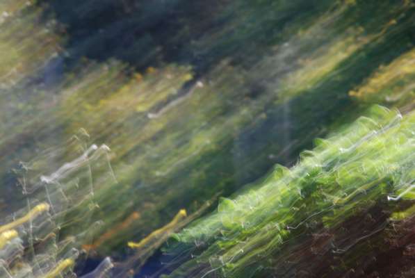 Abstract art, gestual photography : Sensations 7