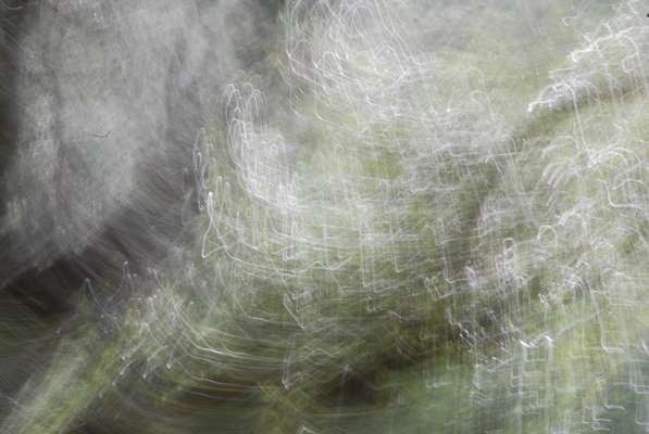 Abstract art, gestual photography : Soulflowers 14