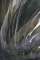 Abstract art, gestual photography : Pulsations 21