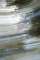 Abstract art, gestual photography : Soulflowers 21