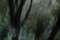 Abstract art, gestual photography : Sensations 21