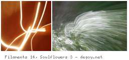 Filaments 14, Soulflowers 3