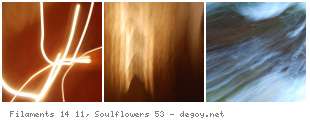 Filaments 14 11, Soulflowers 53